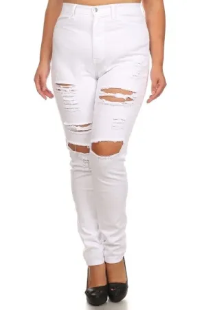Plus Size High Rise Skinny Jeans